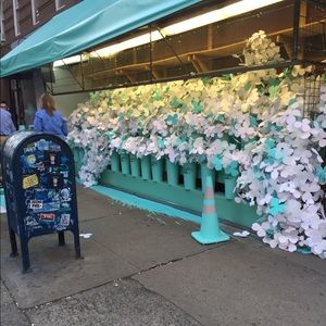 Meet your Posher, Jaime